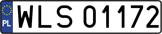 WLS01172