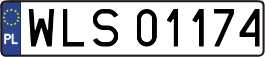 WLS01174
