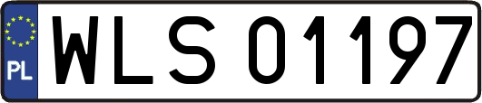 WLS01197