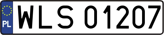 WLS01207
