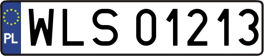WLS01213