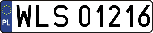 WLS01216