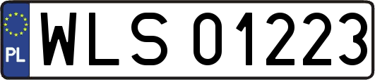 WLS01223