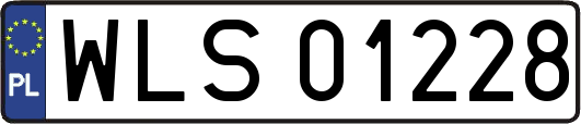 WLS01228