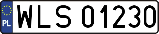 WLS01230