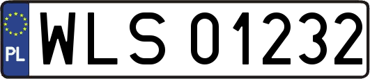 WLS01232