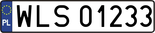 WLS01233