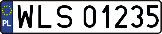 WLS01235