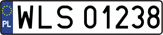 WLS01238