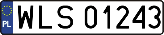 WLS01243