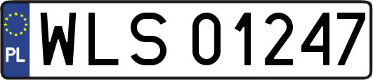 WLS01247