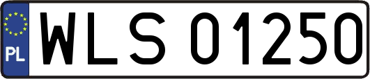 WLS01250
