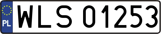 WLS01253