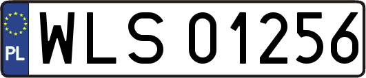WLS01256