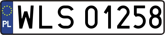WLS01258