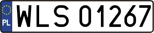 WLS01267