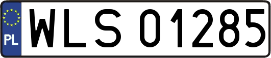 WLS01285