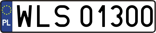WLS01300
