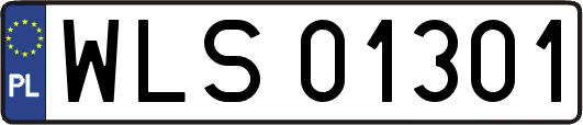 WLS01301