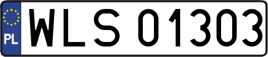 WLS01303