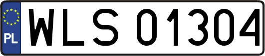 WLS01304
