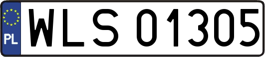 WLS01305
