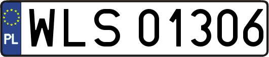 WLS01306
