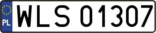 WLS01307