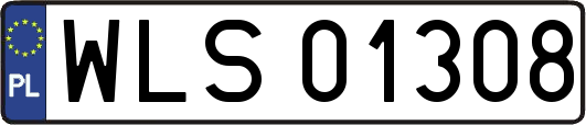WLS01308