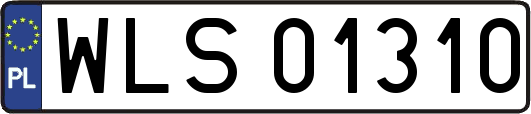 WLS01310