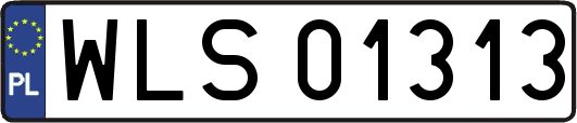 WLS01313