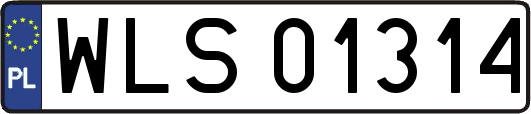 WLS01314