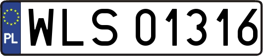 WLS01316
