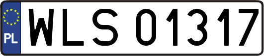 WLS01317
