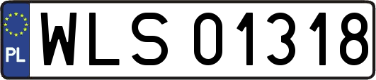 WLS01318