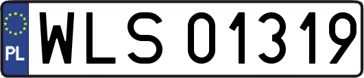 WLS01319