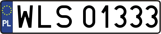 WLS01333