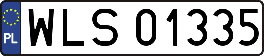WLS01335