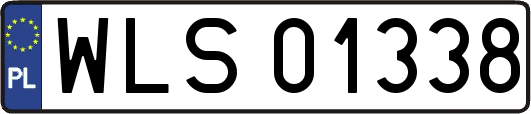WLS01338