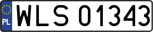 WLS01343