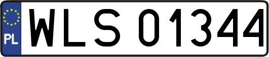WLS01344