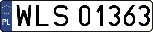 WLS01363