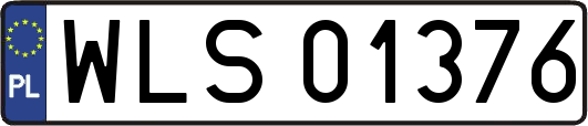 WLS01376