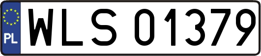 WLS01379