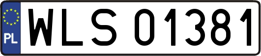 WLS01381