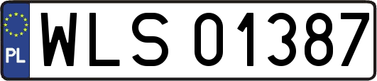 WLS01387