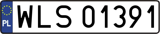 WLS01391