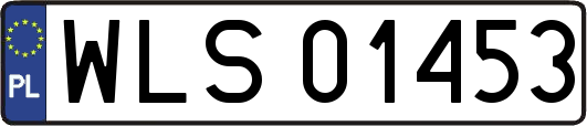 WLS01453