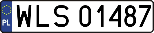 WLS01487