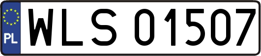 WLS01507